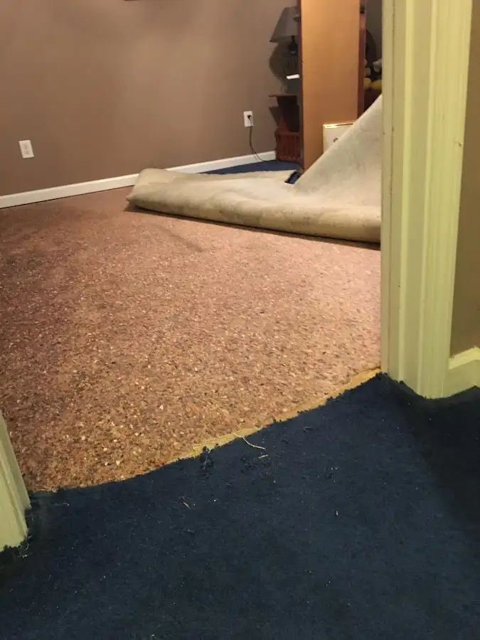 Carpet pad removal revealing water damage during Water Mitigation Services in Summit Park