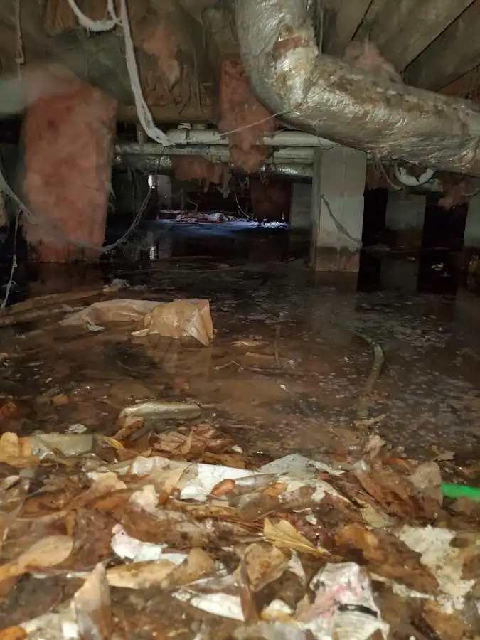 Crawl space flood assessment for Leak Detection & Repair in Summit Park